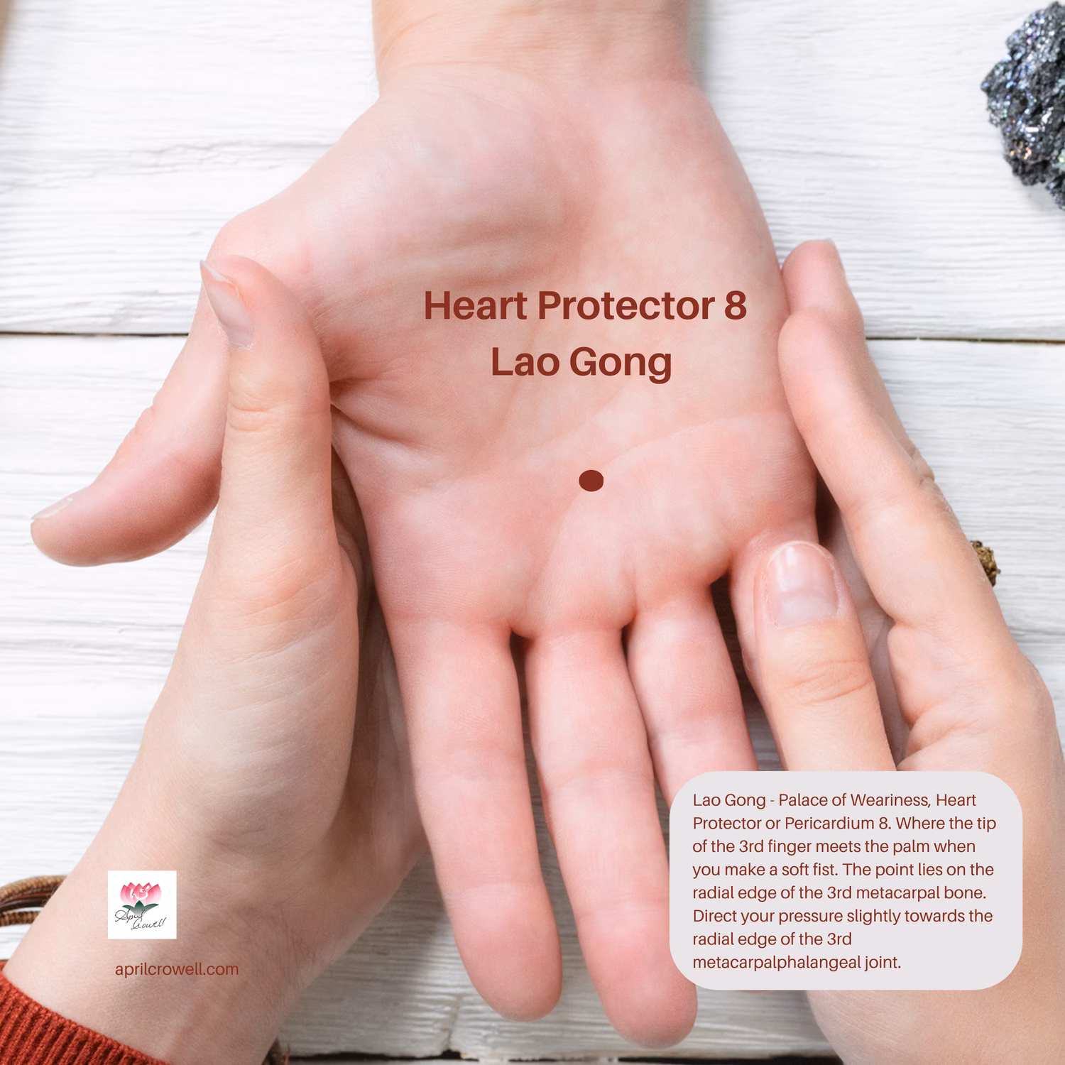 ¿Qué es el punto laogon?