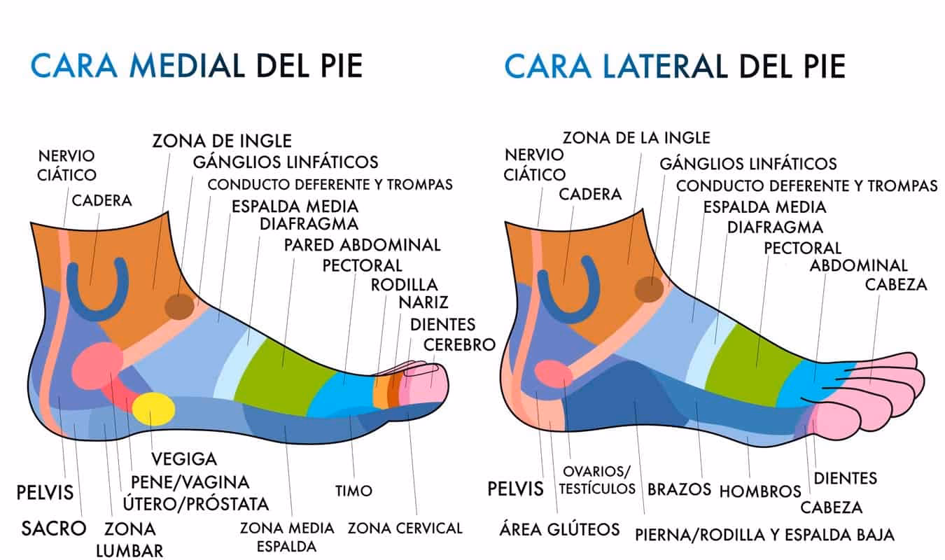 ¿Cuál es la diferencia entre reflexología y digitopuntura?