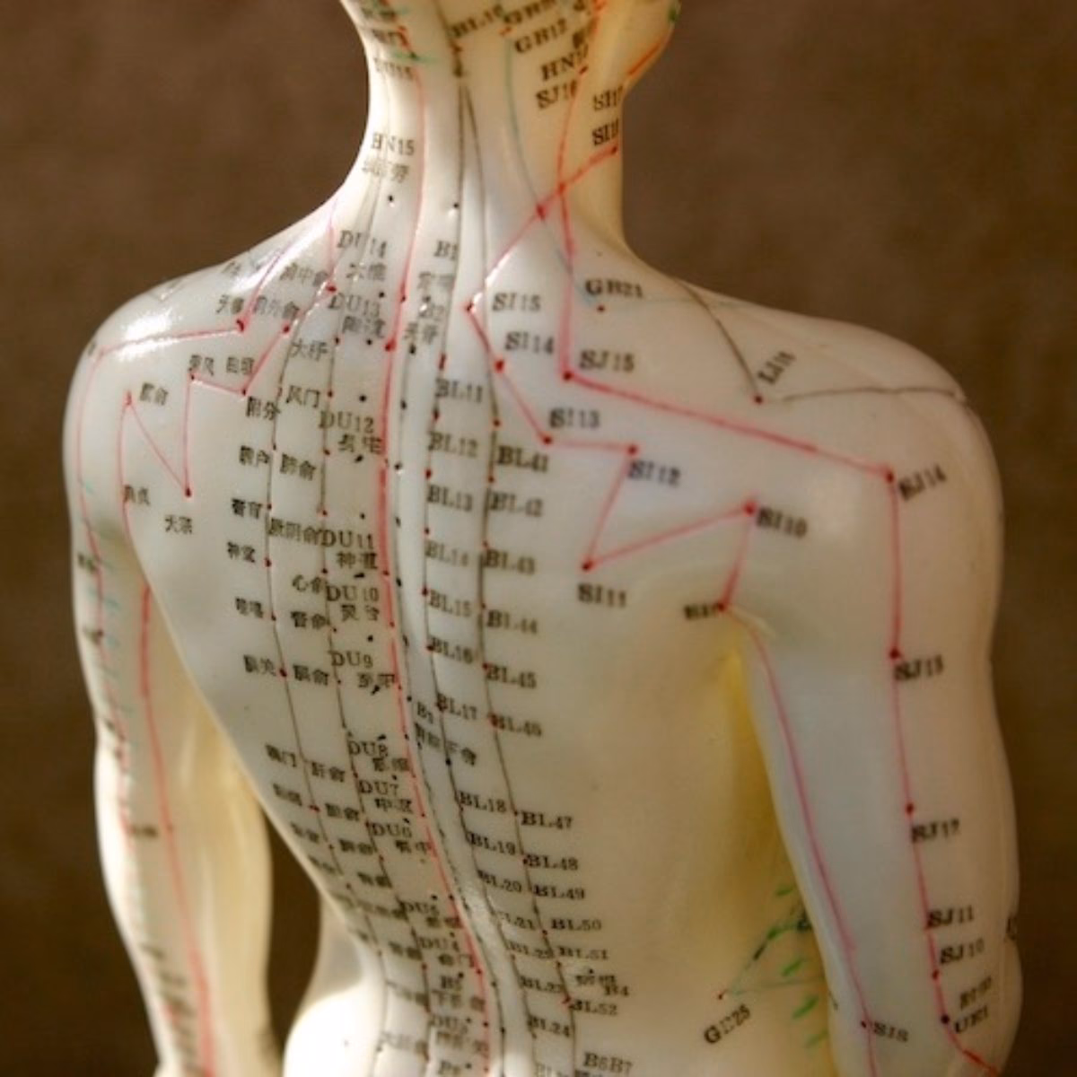 ¿Cómo realiza el diagnóstico un acupunturista?