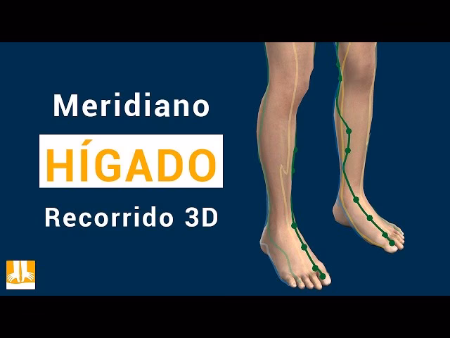 ¿Cómo saber si el dolor de espalda es por el hígado?