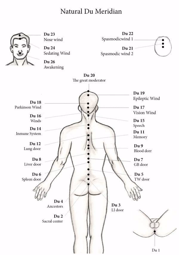 What is the point of DU 20 in acupuncture?