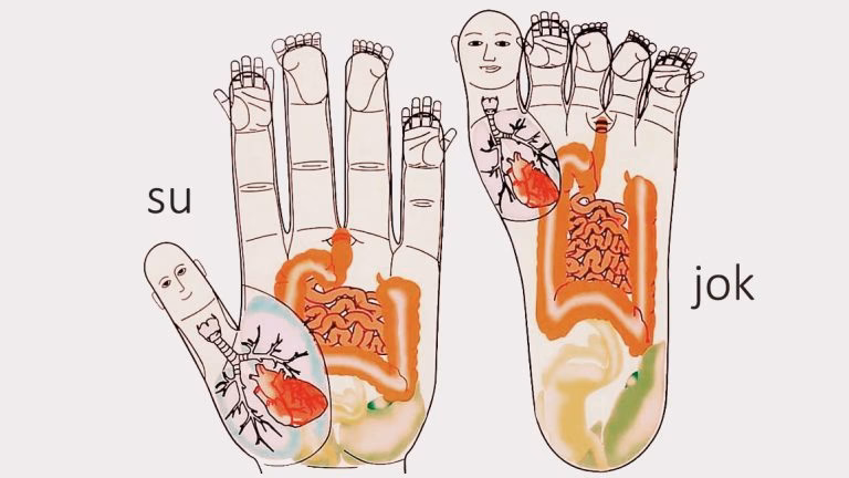 ¿Cuáles son los beneficios de la terapia Su Jok?