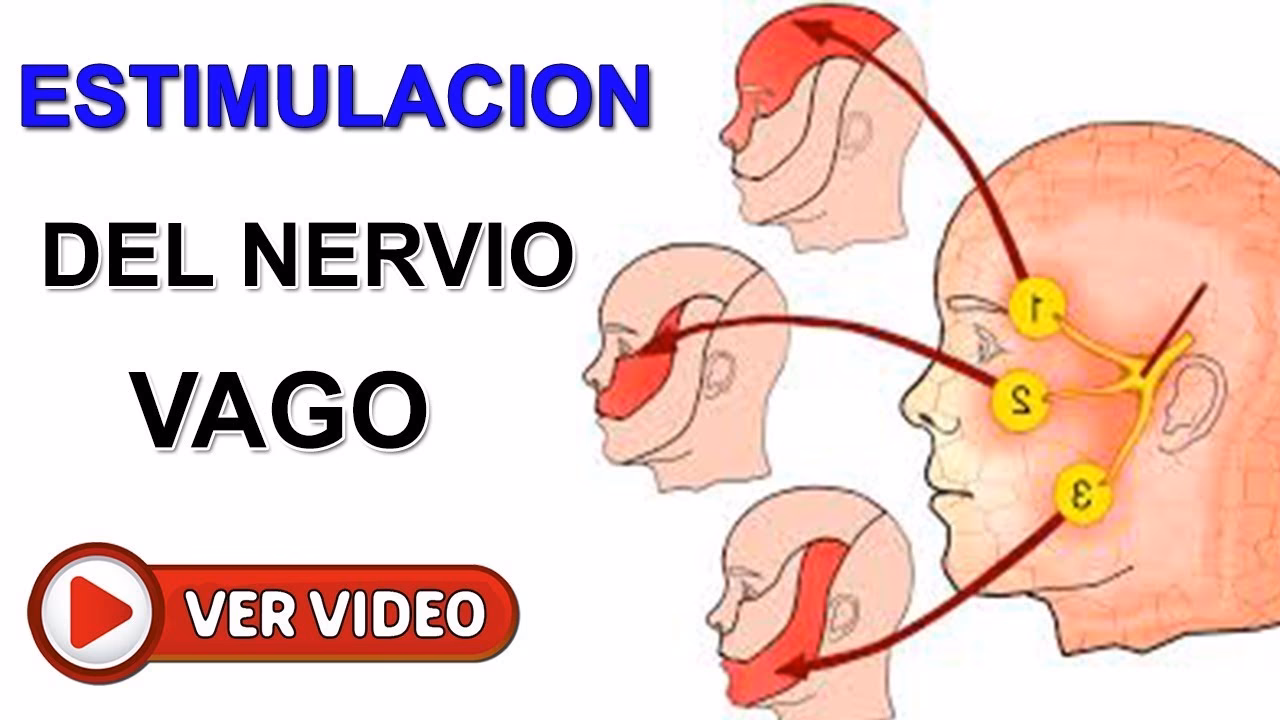 ¿Qué masajes estimulan el nervio vago?