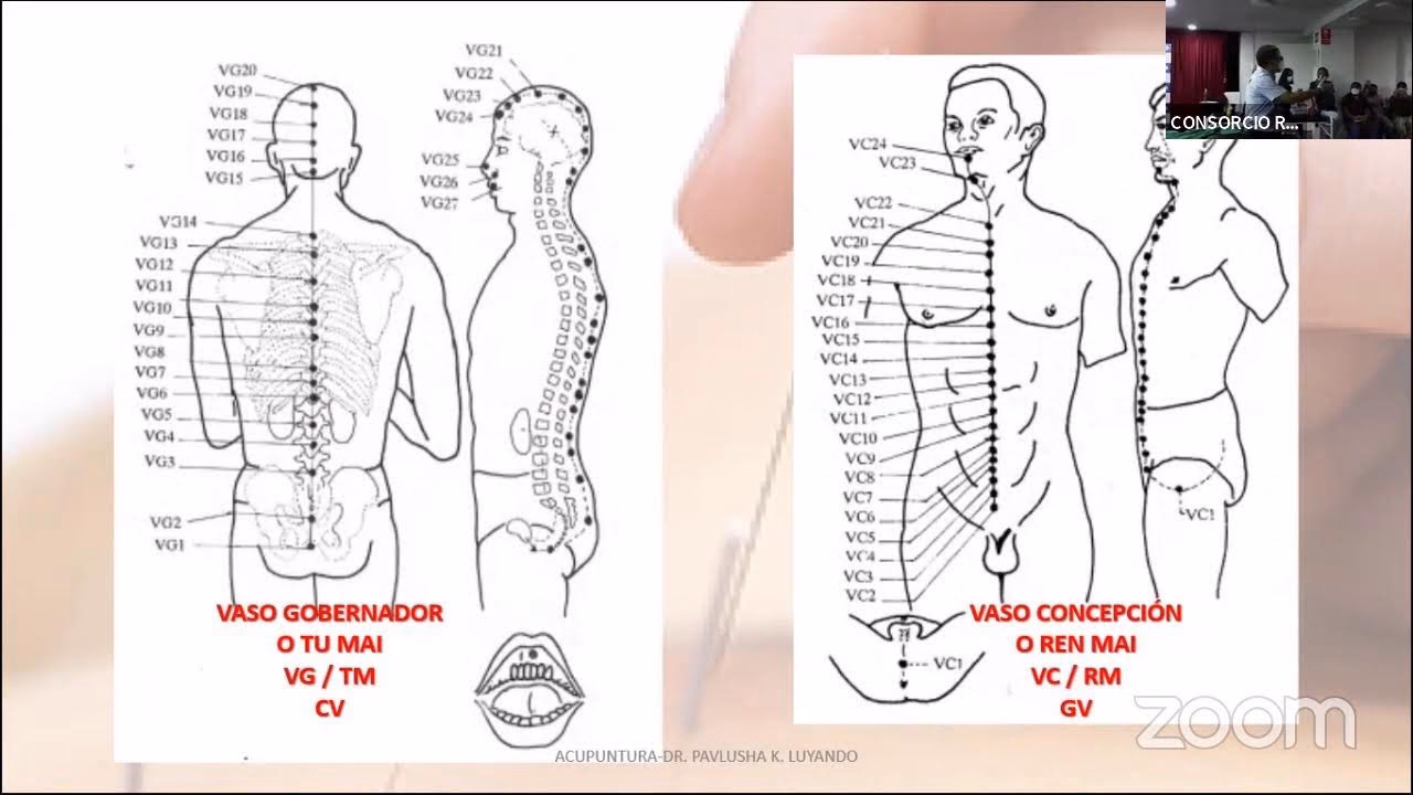 ¿Qué beneficios tiene el punto de acupuntura 20 tm?
