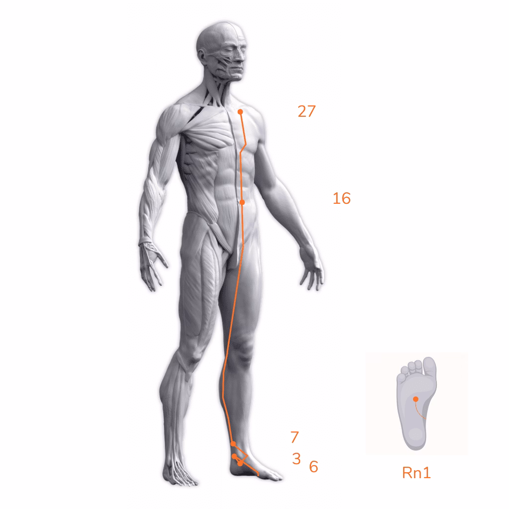 ¿Qué es el shao yin?