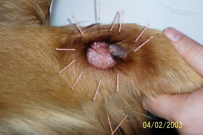 ¿Qué es un granuloma y cómo se cura?