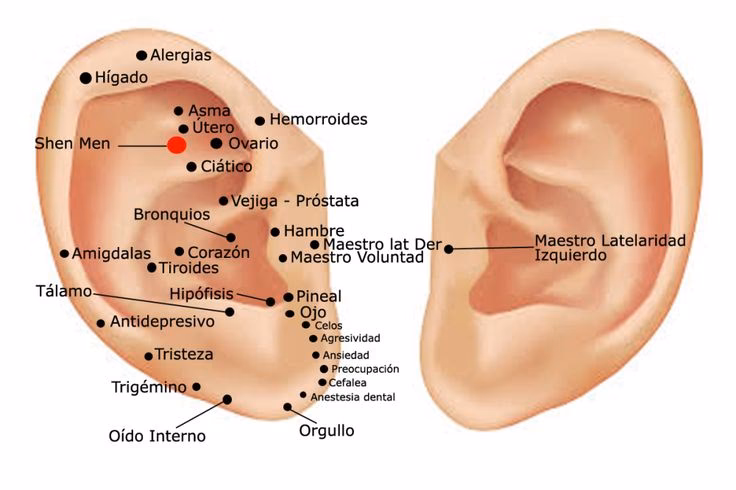 ¿Cuáles son los síntomas de un mal funcionamiento de la hipófisis?