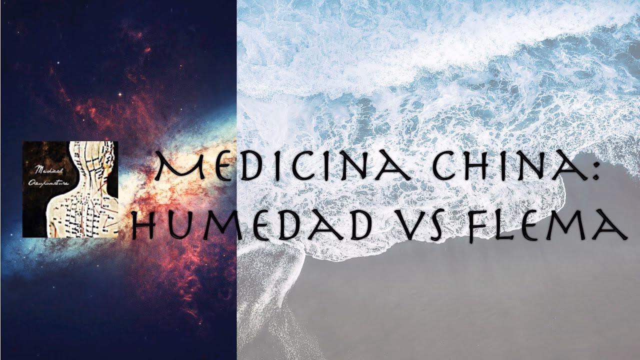 ¿Qué es bueno para absorber la humedad?