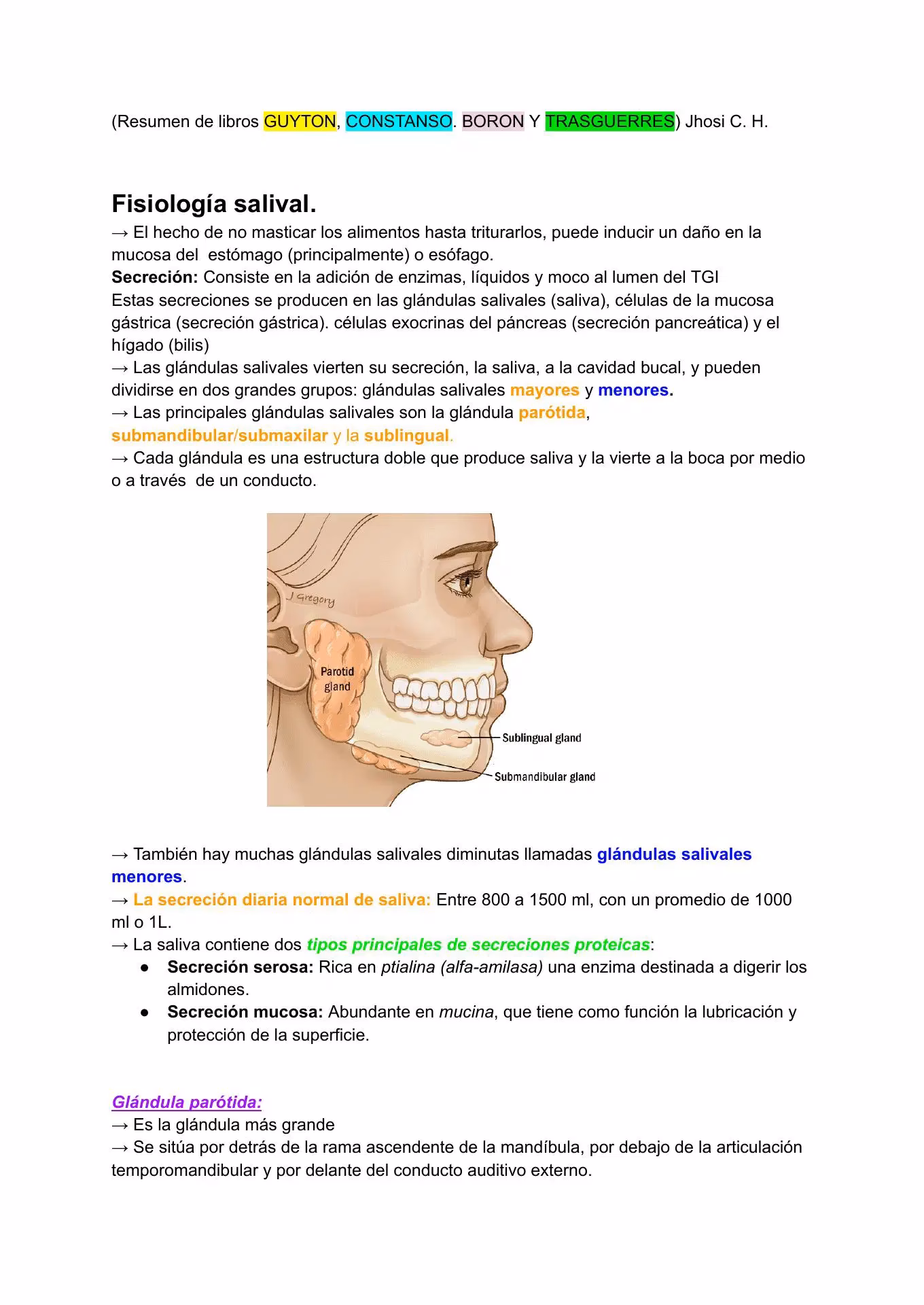 ¿Quién regula la producción de amilasa salival?