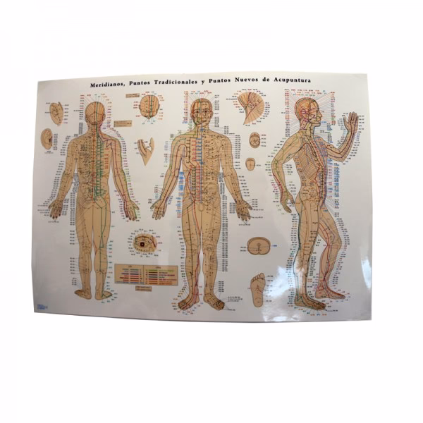 ¿Son buenas para usted las almohadillas de acupuntura?