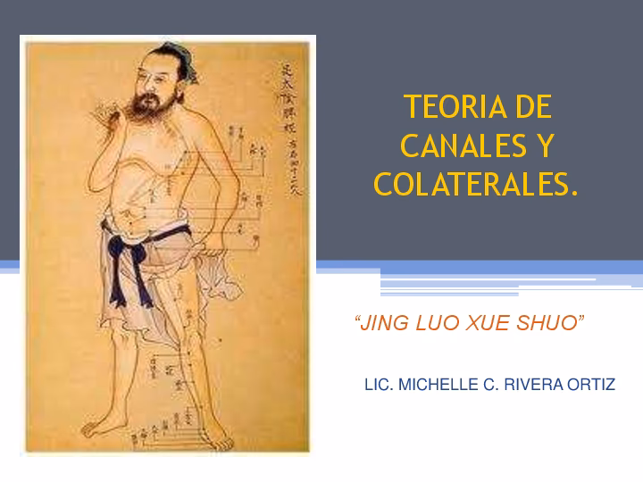 ¿Cuales son los canales y colaterales?