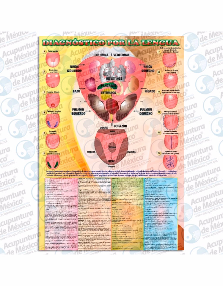 ¿Cómo se diagnostica la lengua geográfica?