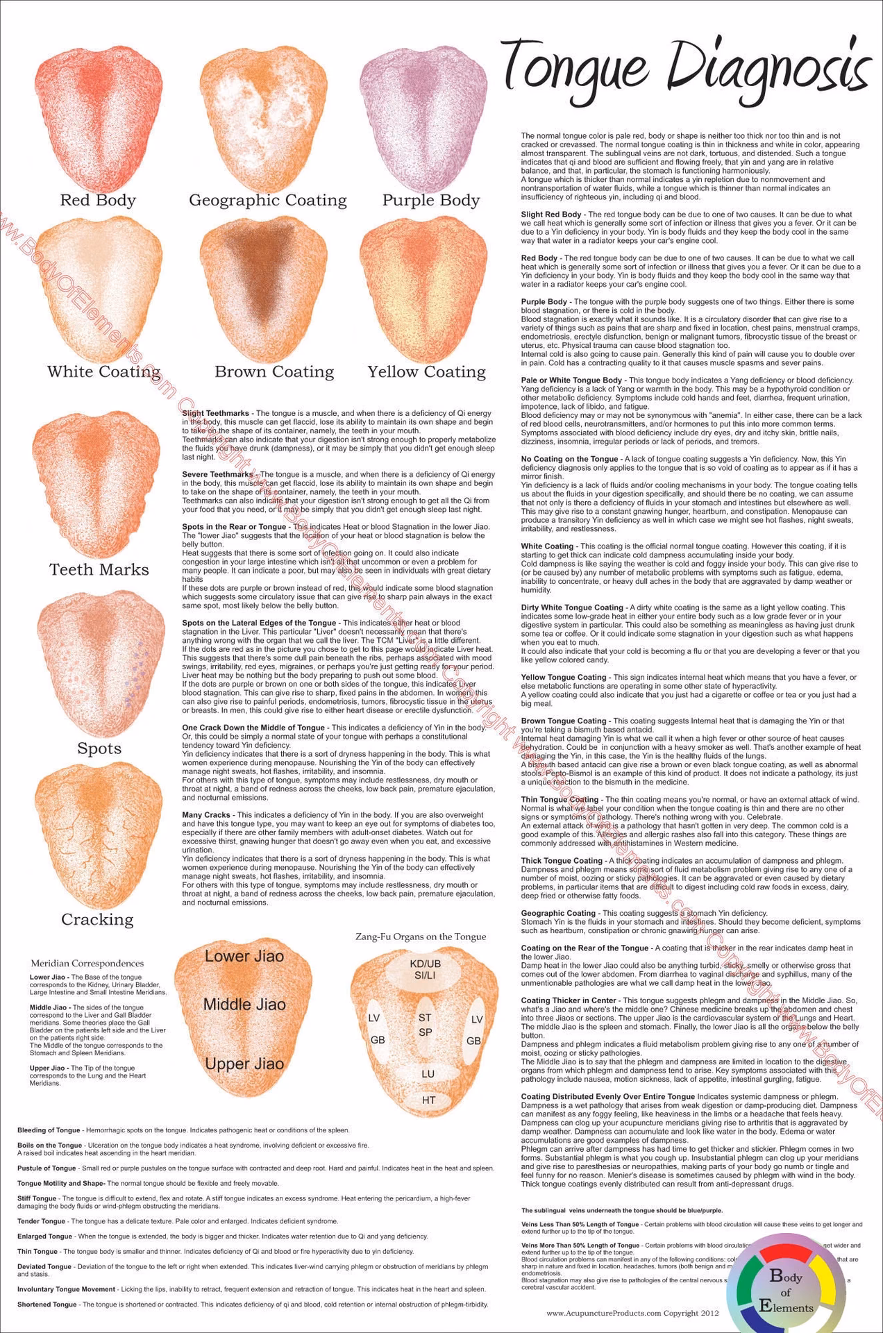 ¿Cómo se ve una lengua con deficiencia de Yin?