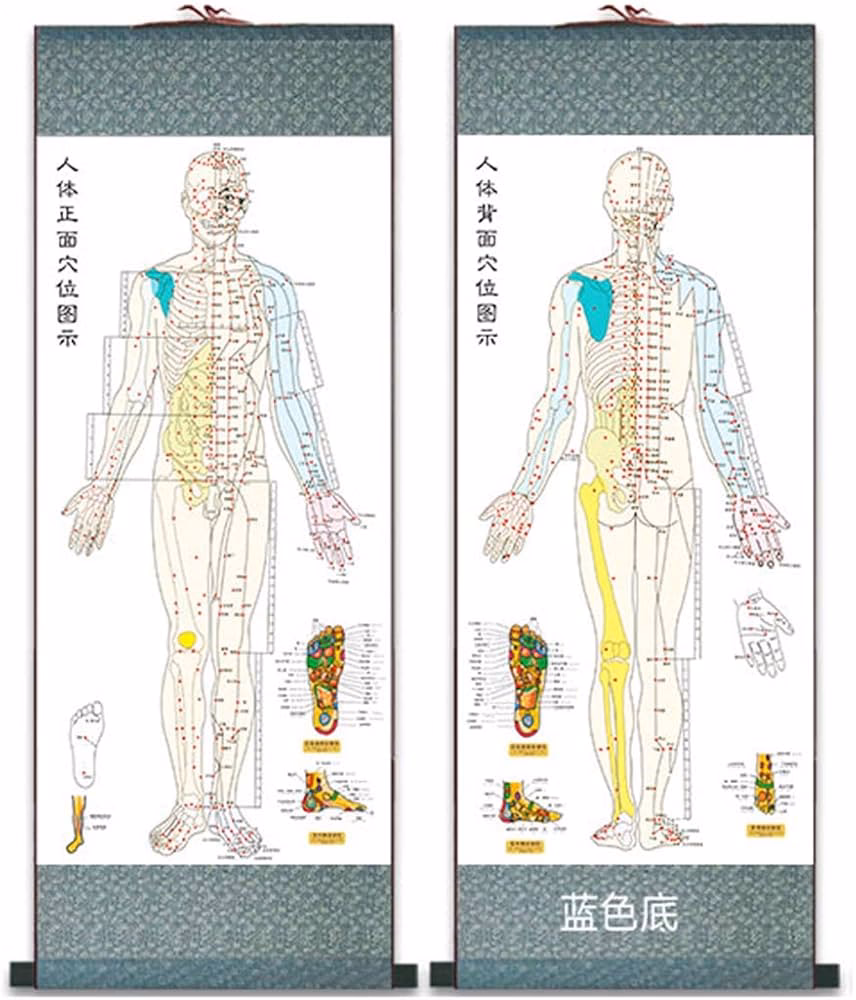 ¿Cuáles son los 5 puntos prohibidos de acupuntura?