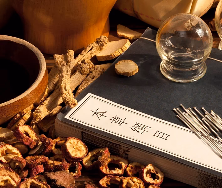 What is the traditional Chinese medicinal system?