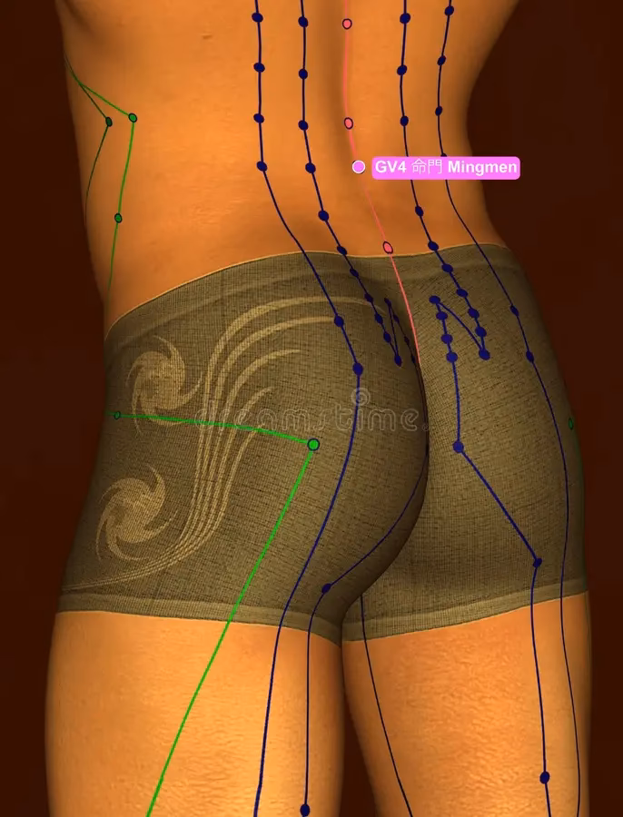 What are ming men in Chinese medicine?