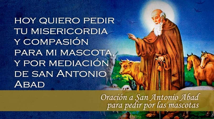 ¿Cuál es una oración milagrosa para los animales?