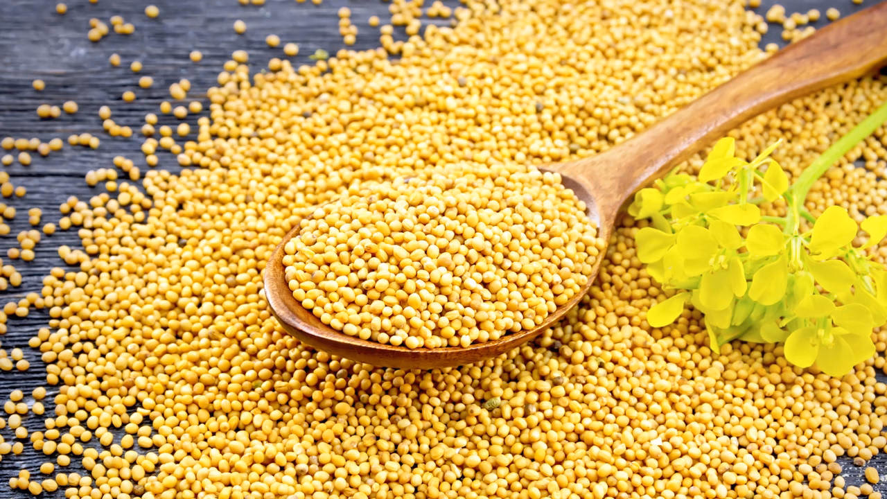 ¿Cuántos días se deja la auriculoterapia?