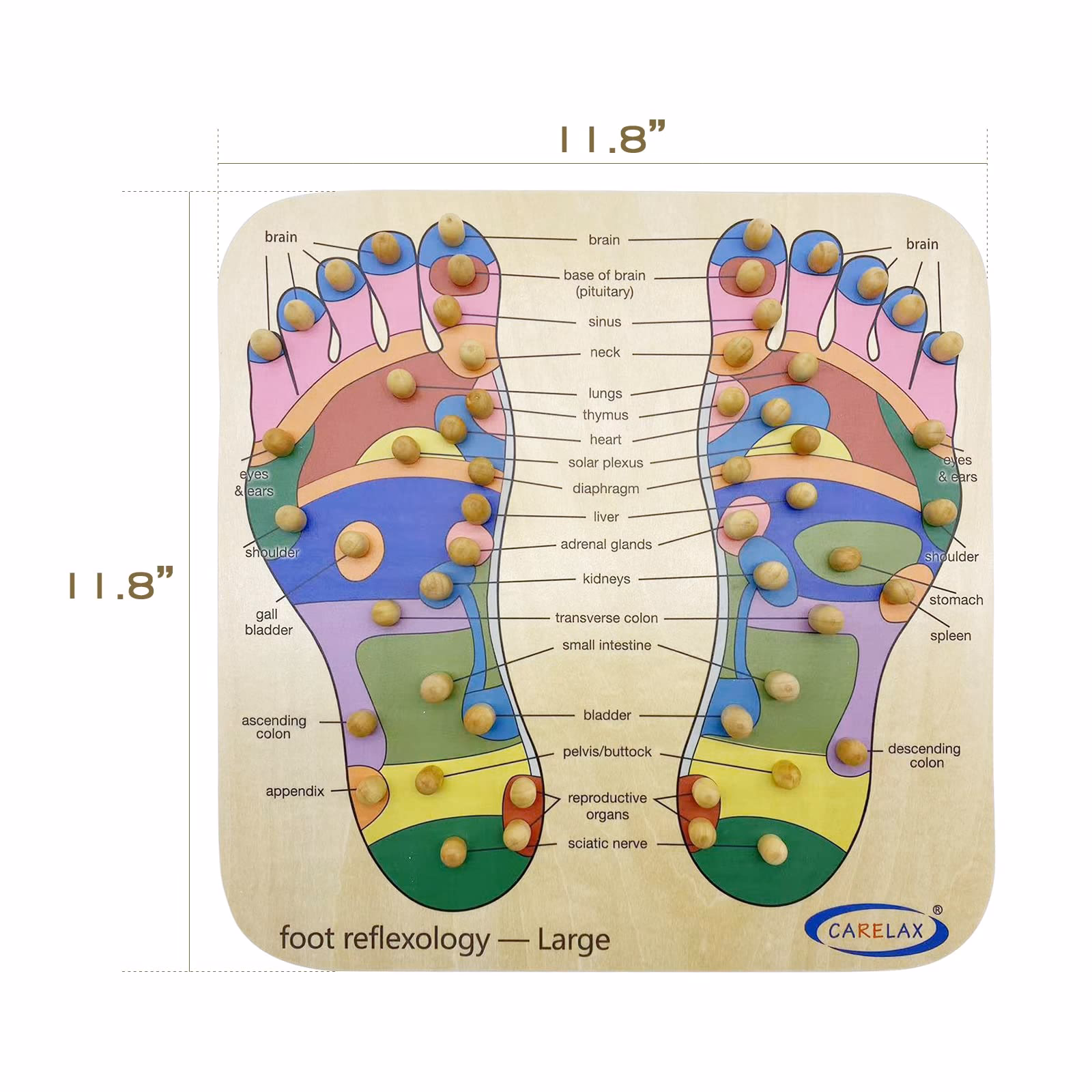 ¿Qué partes del cuerpo se reflejan en los pies?