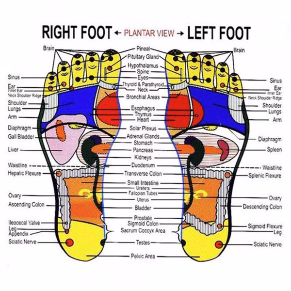 ¿Cuánto tiempo puedes usar plantillas magnéticas?
