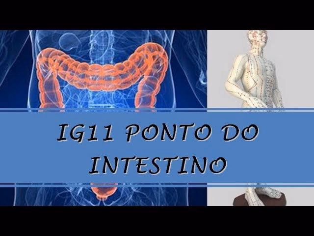 Onde é o ponto do intestino na acupuntura?