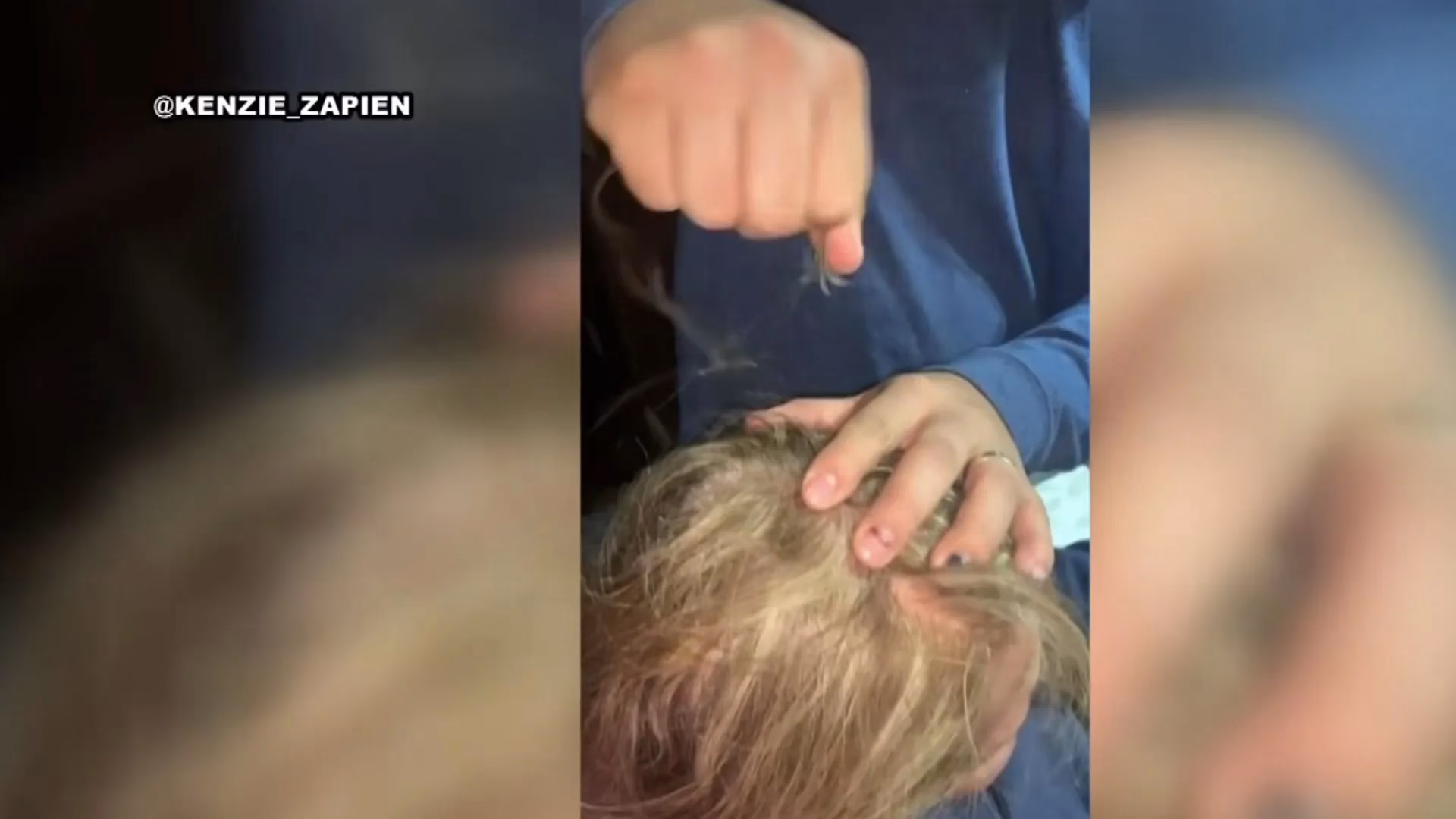 ¿Qué pasa si te tiran el pelo y suena?