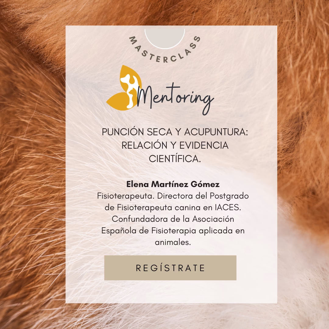 ¿Es posible realizar punción seca y acupuntura al mismo tiempo?