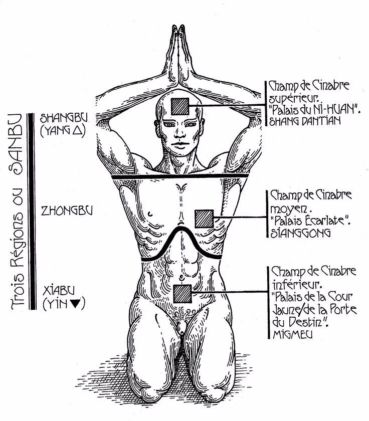 ¿Cómo utilizar Dantian?