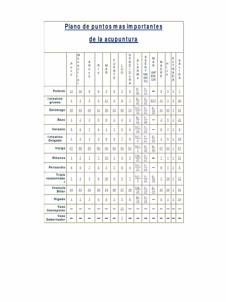 ¿Cuáles son los puntos de mando en la acupuntura?