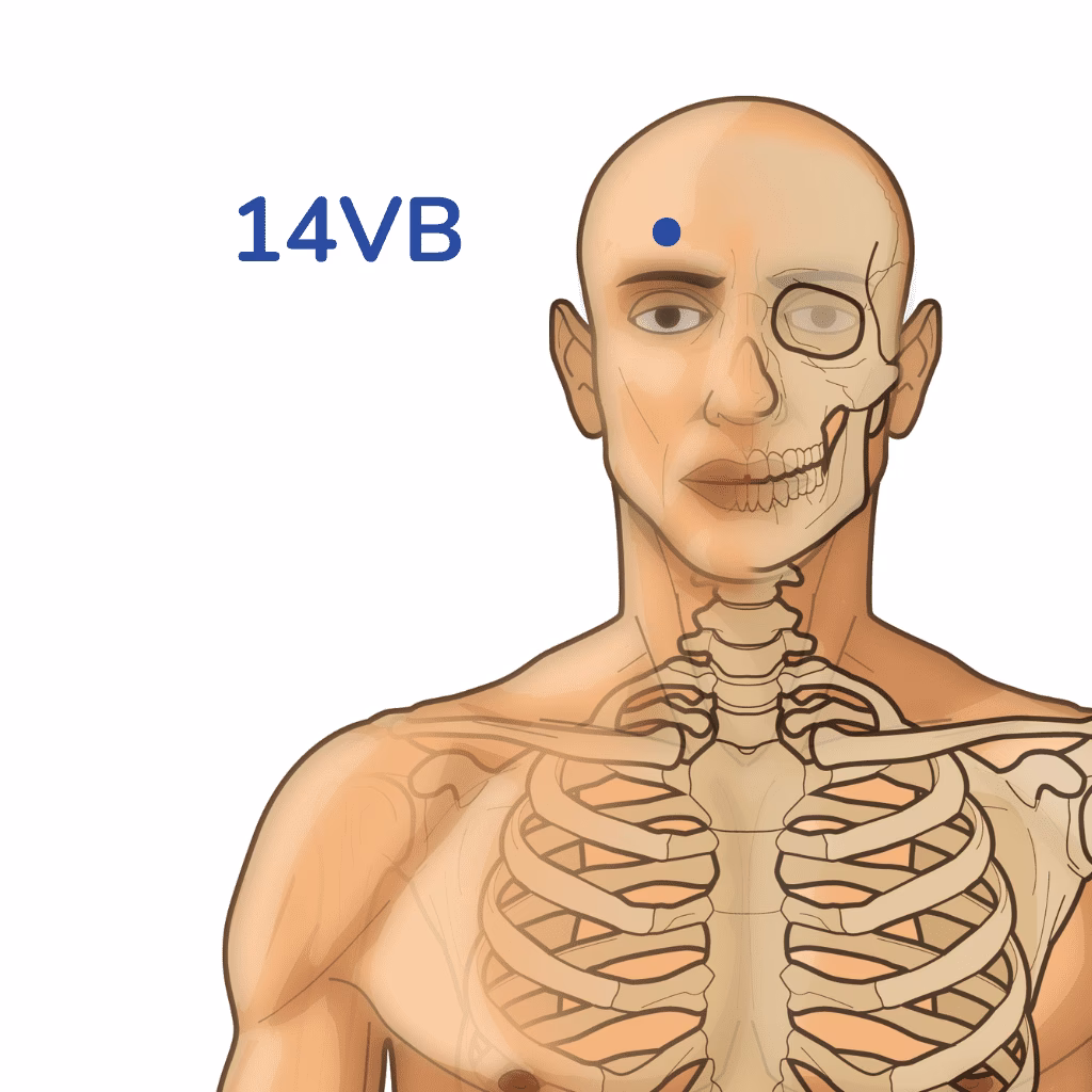 ¿Dónde está el punto de acupuntura Bai Hui en un perro?