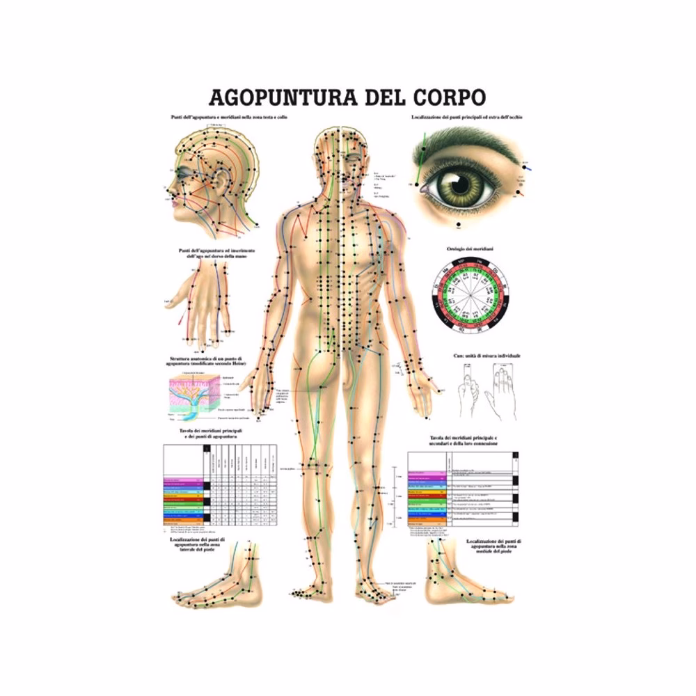 ¿Dónde se puede inyectar la mesoterapia?