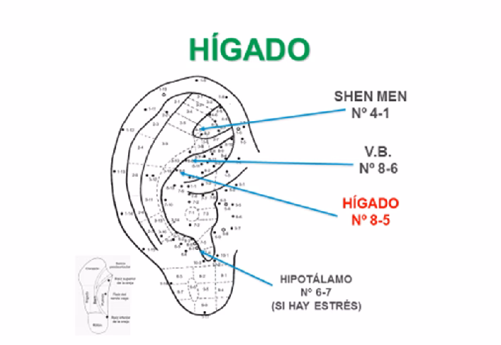 ¿Qué dedo controla la ira?