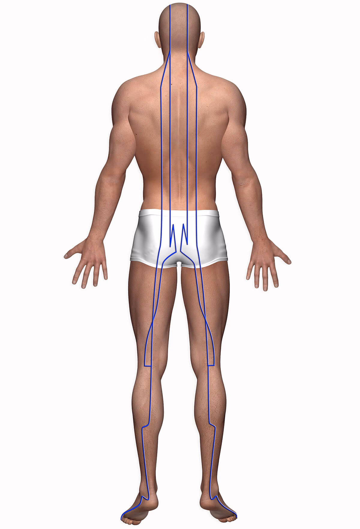 ¿Es buena la acupuntura para los problemas de vejiga?