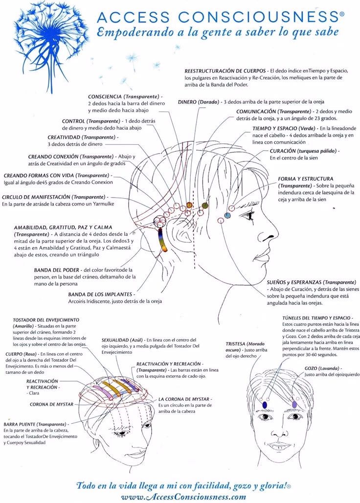 ¿Cuáles son los 32 puntos que tienes en la cabeza?
