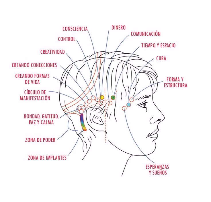 ¿Cuáles son los puntos de presión para las barras de acceso?