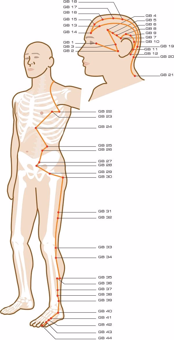 ¿Dónde está el punto de acupuntura para la vesícula biliar?