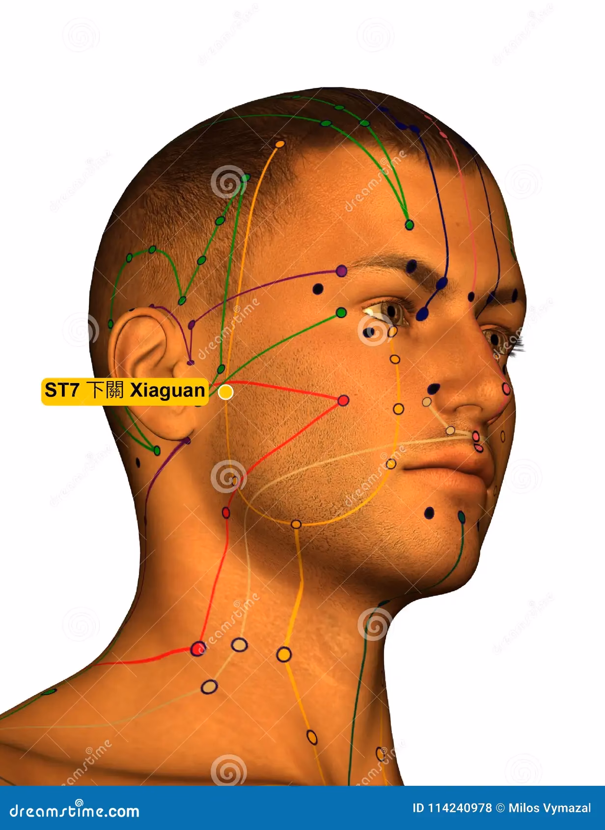 ¿Qué es el punto de acupuntura Wei Guan Xia Shu?