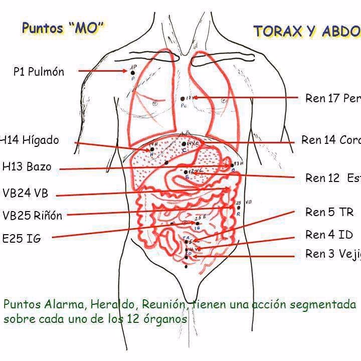 ¿Qué son los puntos de alarma en la acupuntura?