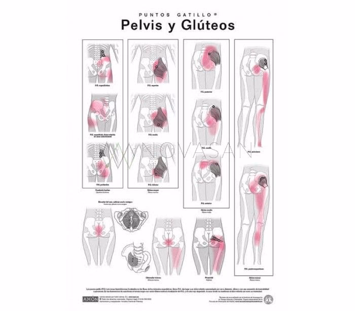 ¿Cómo sacar el dolor de glúteos?