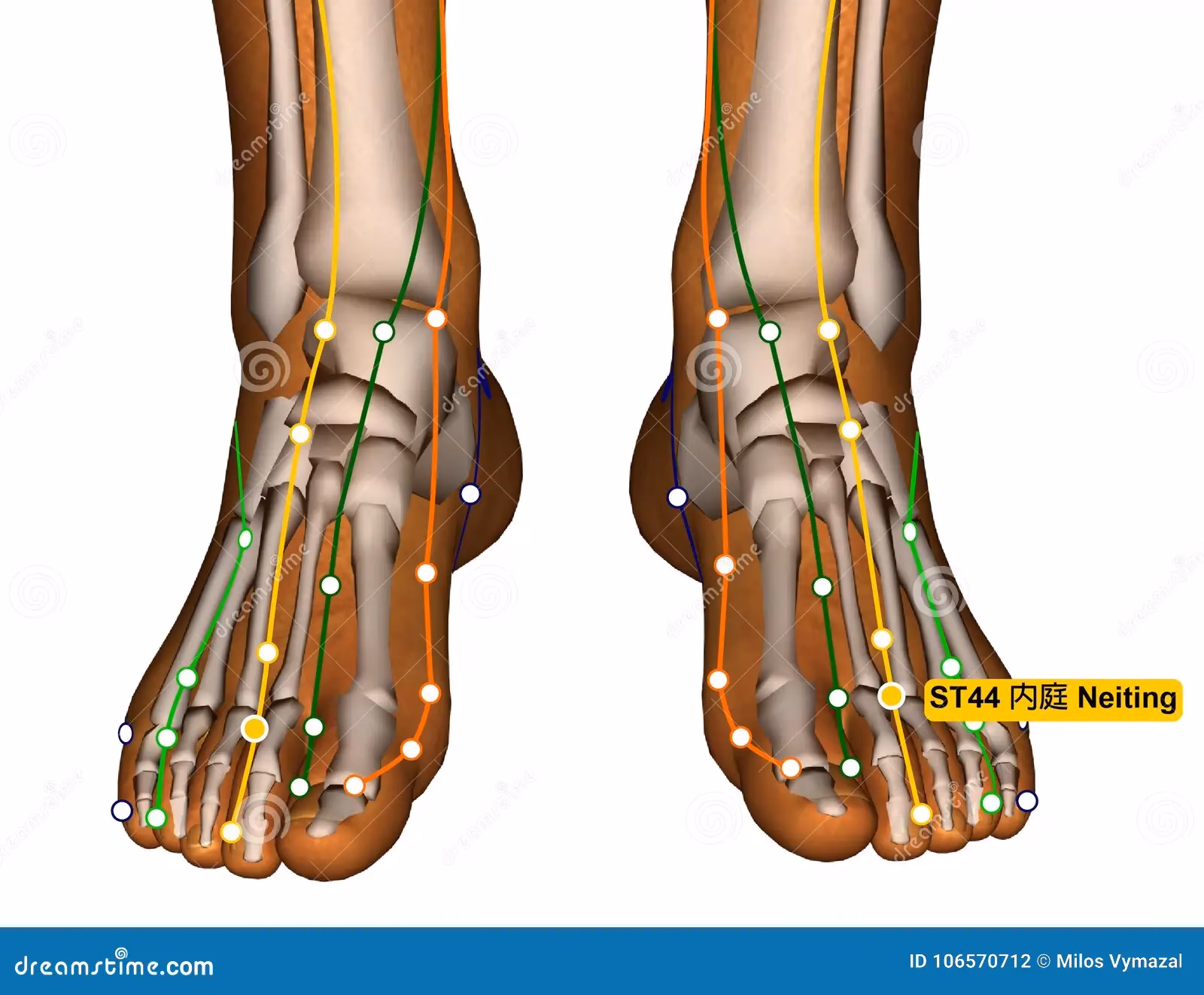 ¿Qué es un punto XI en acupuntura?