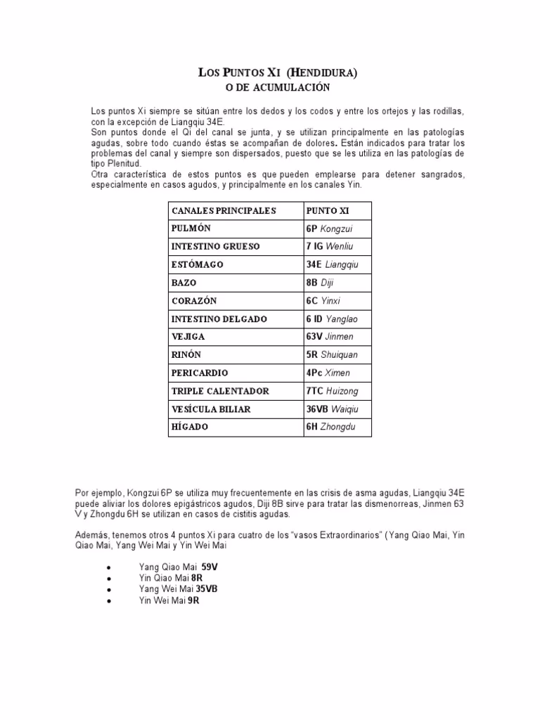 ¿Qué son los puntos Xi?