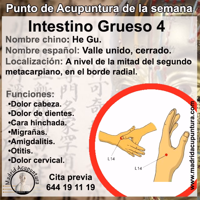 ¿Qué es la teoría de la puerta de la acupuntura?