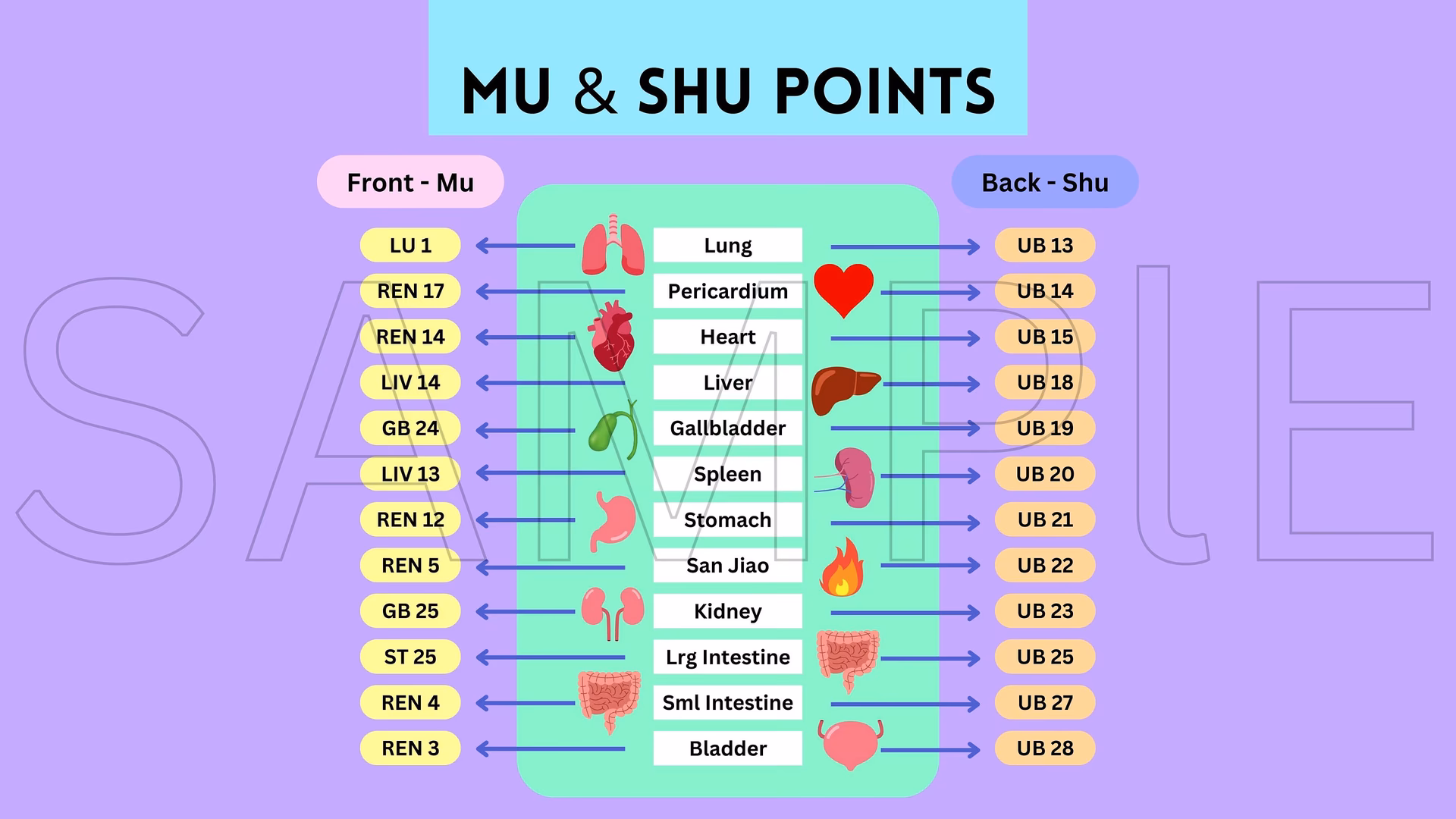 What are Shu points in acupuncture?