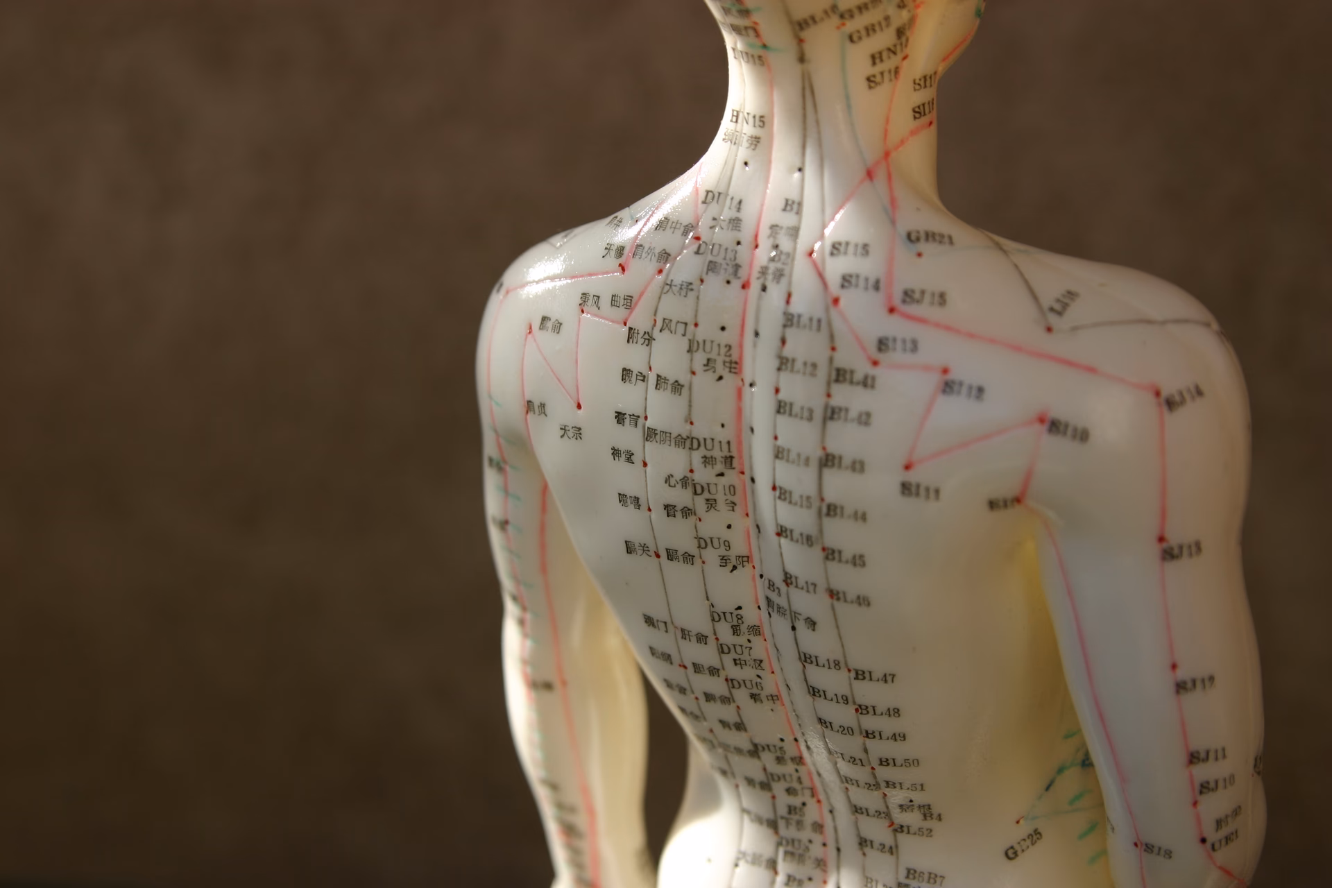 What are the acupuncture points for spine pain?