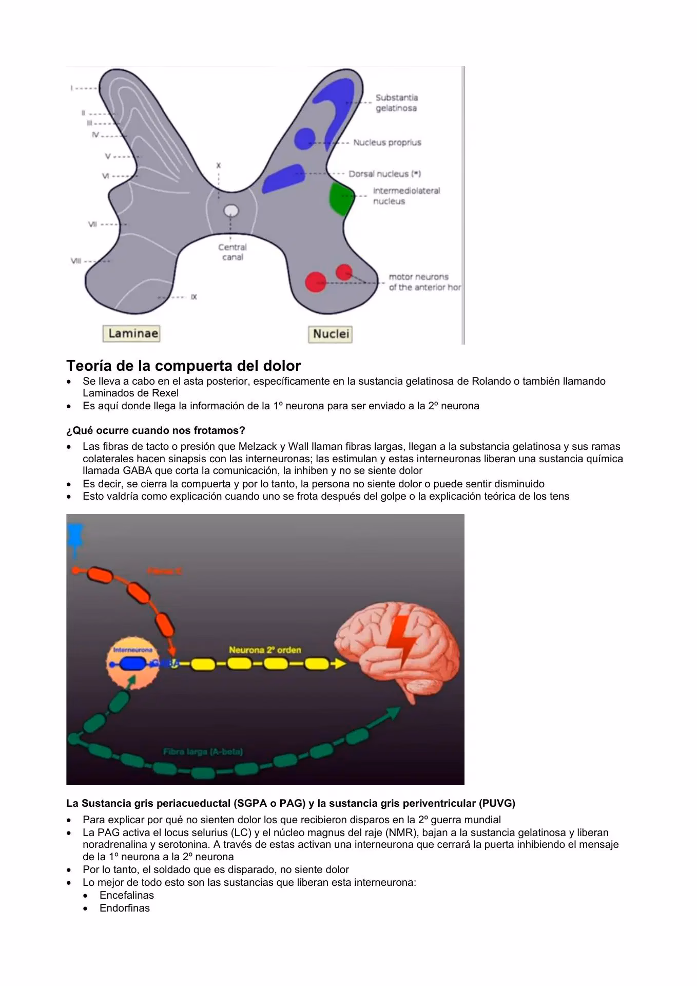 ¿Qué es el mecanismo de compuerta del dolor?