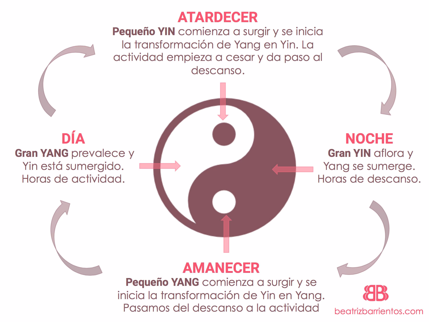 ¿Cuáles son las 4 leyes del yin y yang?