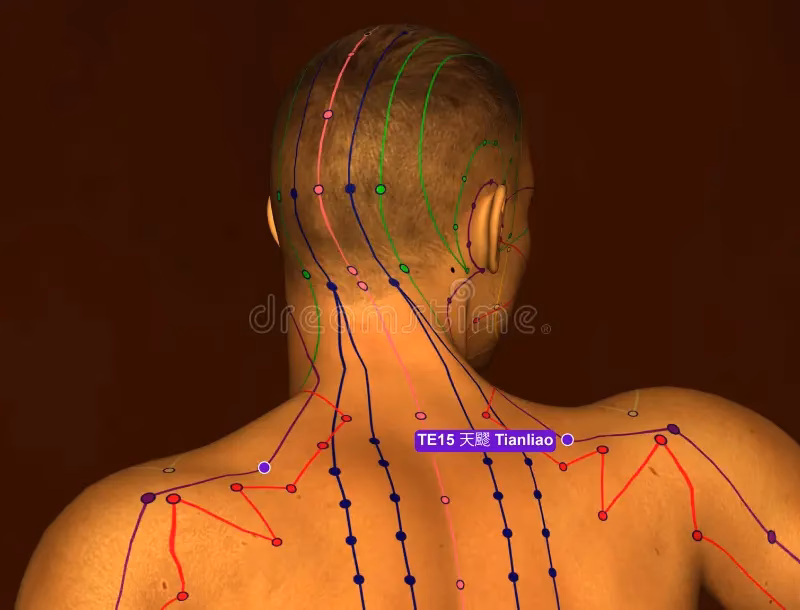 Where is the mingmen acupuncture point?