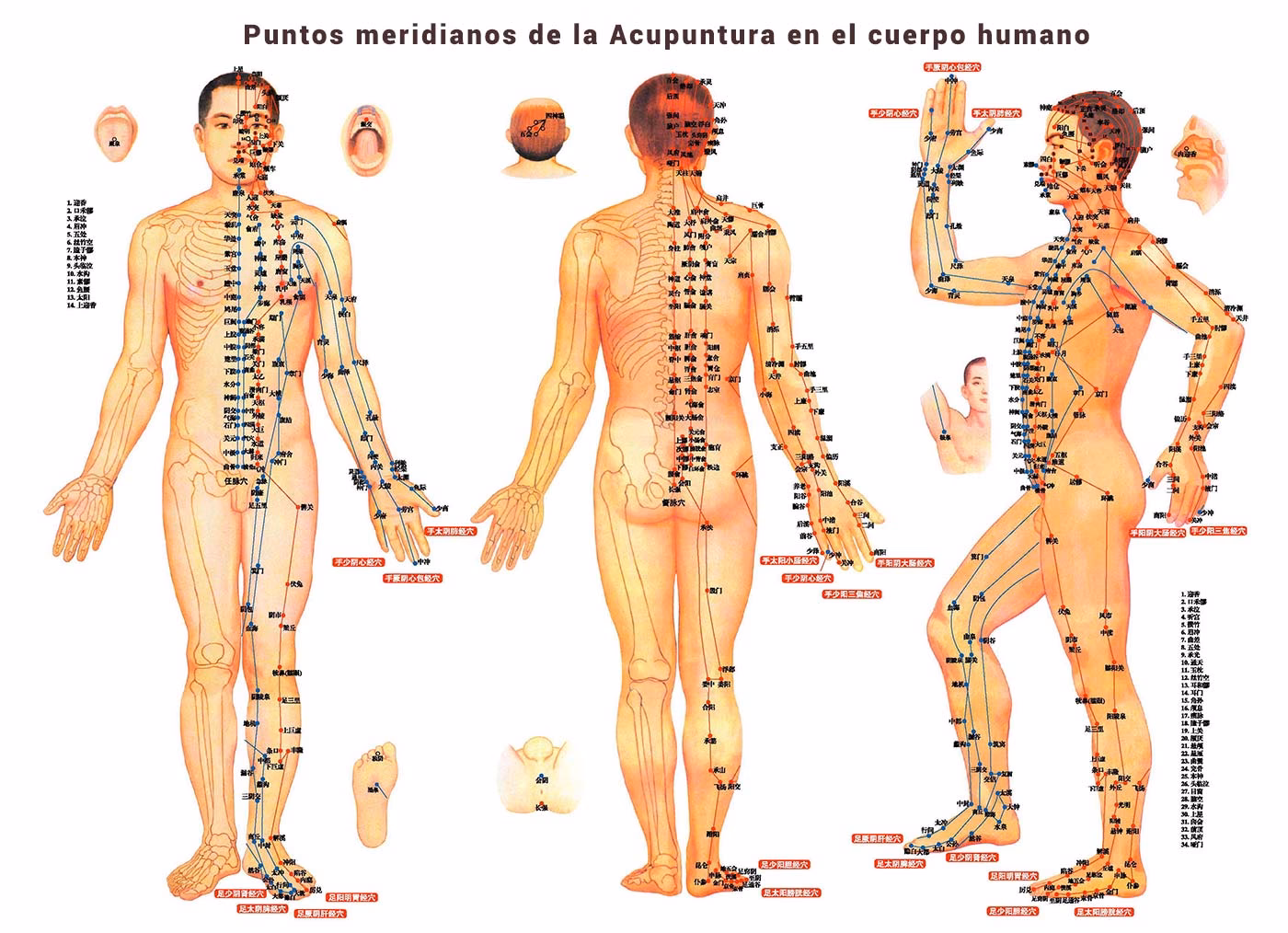¿Cuál es el tratamiento para el dolor de nervios en la fibromialgia?