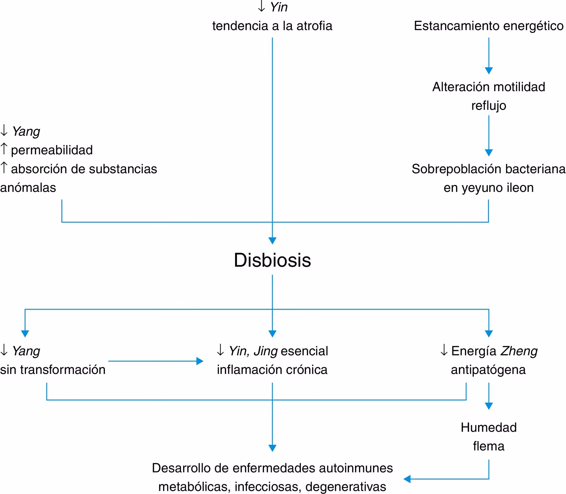 ¿Puede la acupuntura ayudar al tenesmo?