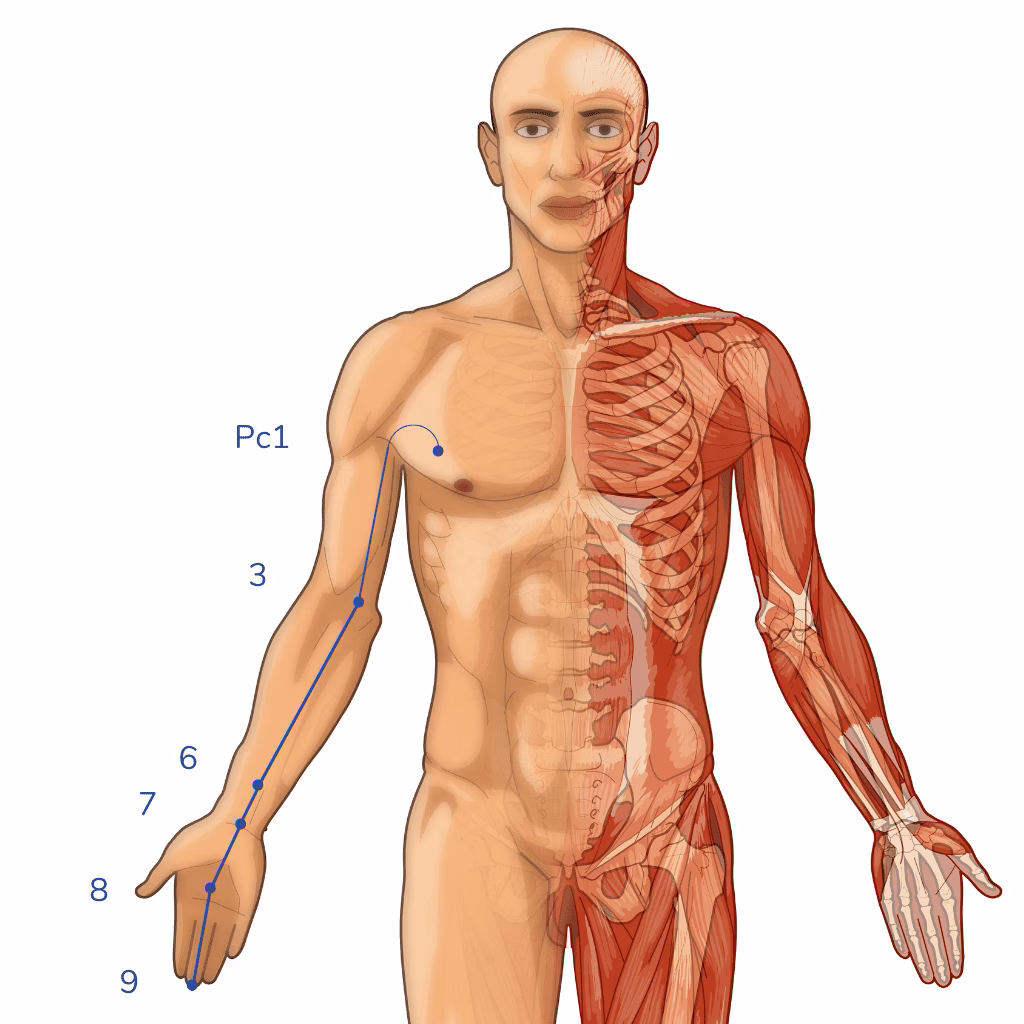 ¿Cómo aliviar el dolor del pericardio?